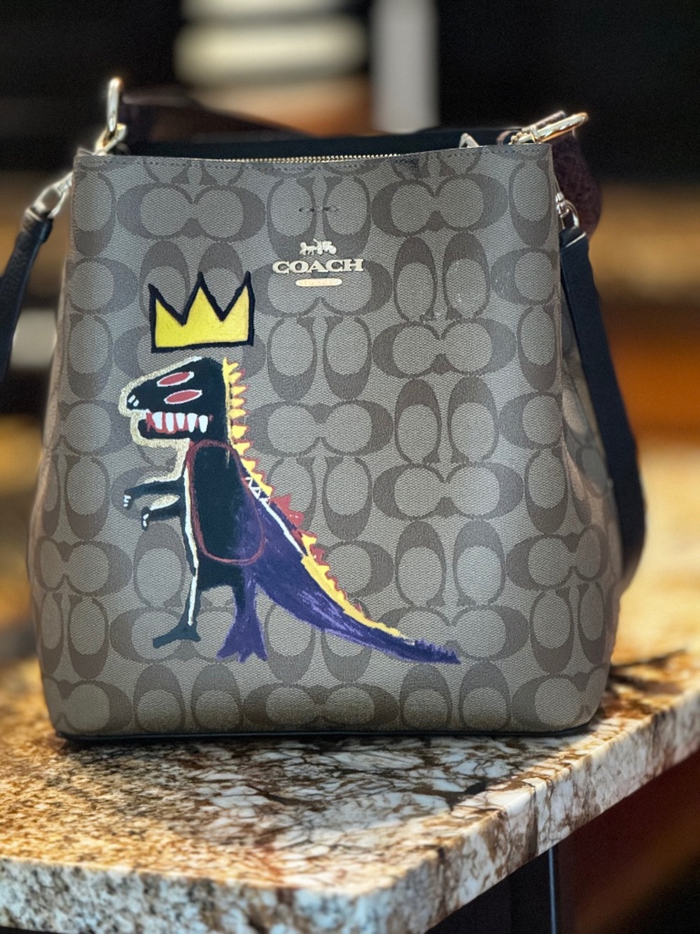 Coach Basquiat Rexie Bucket Bag Limited Signature Canvas